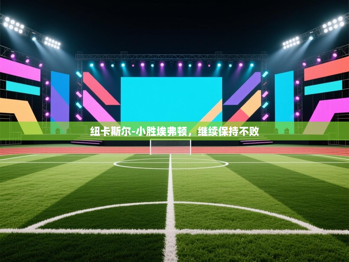 纽卡斯尔-小胜埃弗顿,继续保持不败 第2张