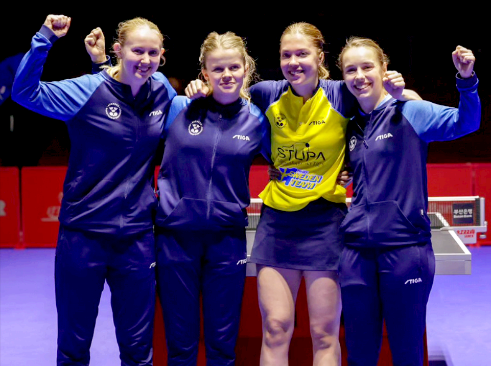 爱游戏入口-瑞典队在比赛中展现了强大的团结力