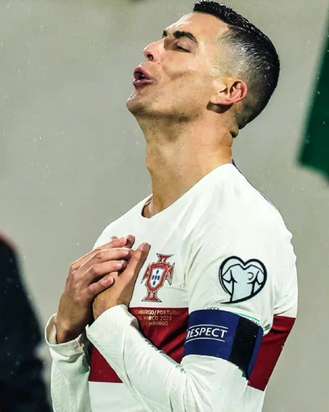 葡萄牙大胜卢森堡晋级,奥地利遗憾告别的简单介绍 葡萄牙大胜卢森堡晋级,奥地利遗憾告别的简单介绍