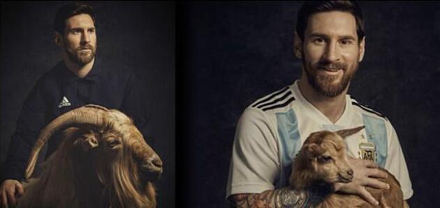 包含埃及选手实现逆袭登上领奖台的词条